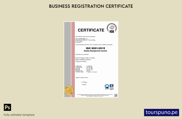 listo para imprimir Certificado de registro ICA de EE. UU. Plantilla en Word y P